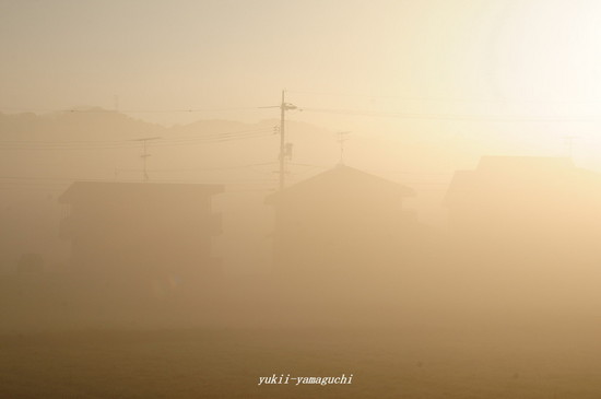 霧02.jpg