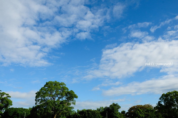 青空01.jpg