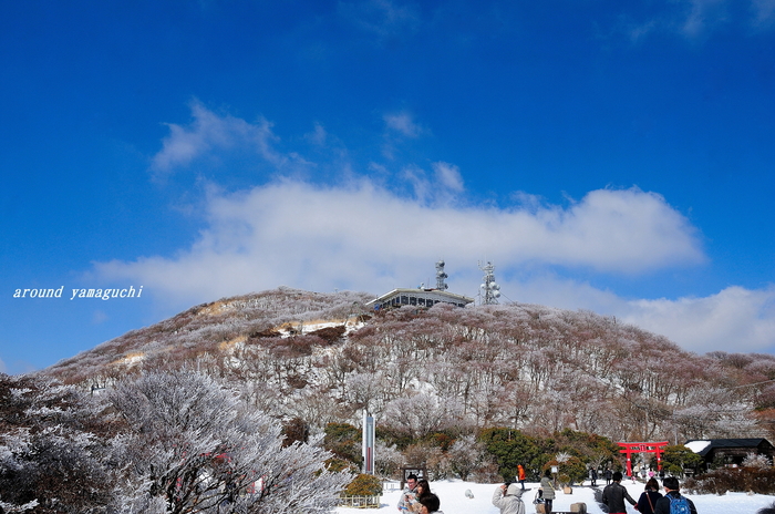 鶴見岳霧氷01.jpg