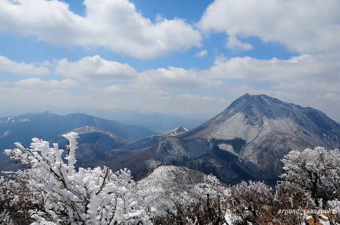 鶴見岳霧氷07.jpg