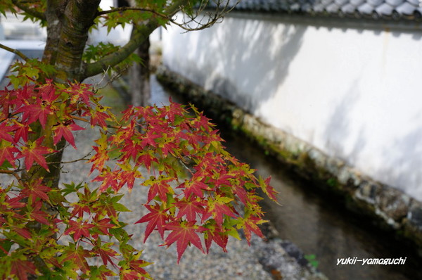 鹿野漢陽寺05.jpg