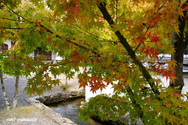 鹿野漢陽寺06.jpg