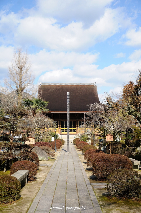 龍福寺01.jpg