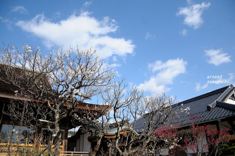 龍福寺02.jpg