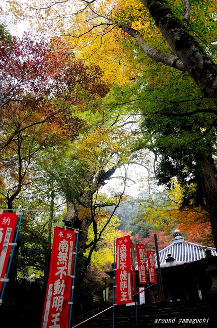龍蔵寺02.jpg