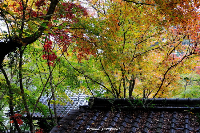 龍蔵寺05.jpg