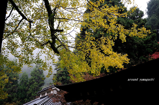 龍蔵寺07.jpg