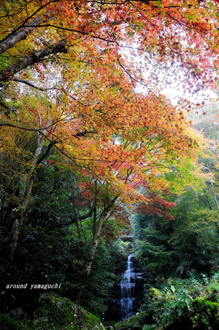 龍蔵寺08.jpg