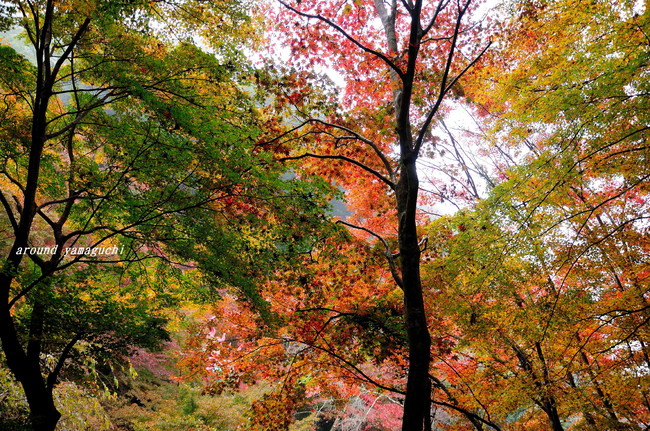 龍蔵寺09.jpg