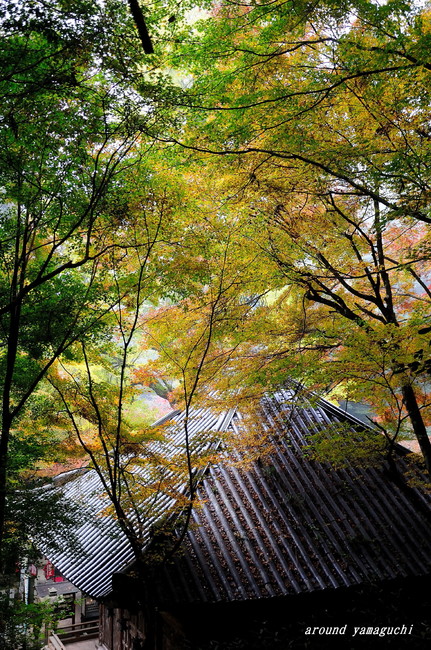 龍蔵寺10.jpg