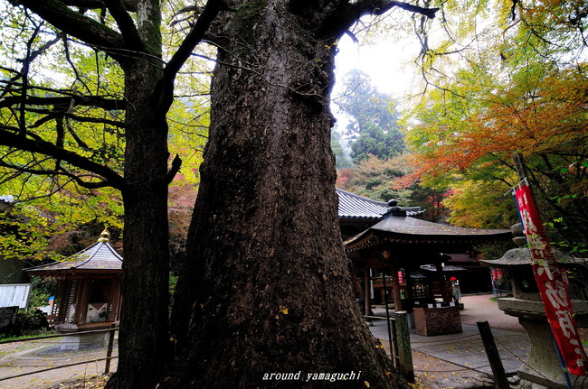 龍蔵寺12.jpg