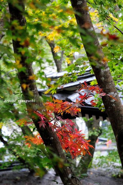 龍蔵寺15.jpg
