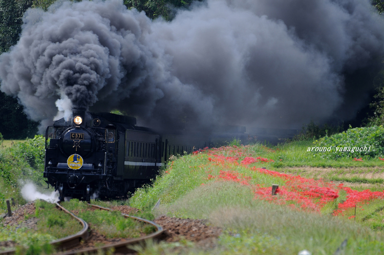 SL山口号01.jpg